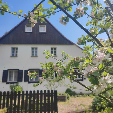Lusatia Farm Leśna Exterior foto