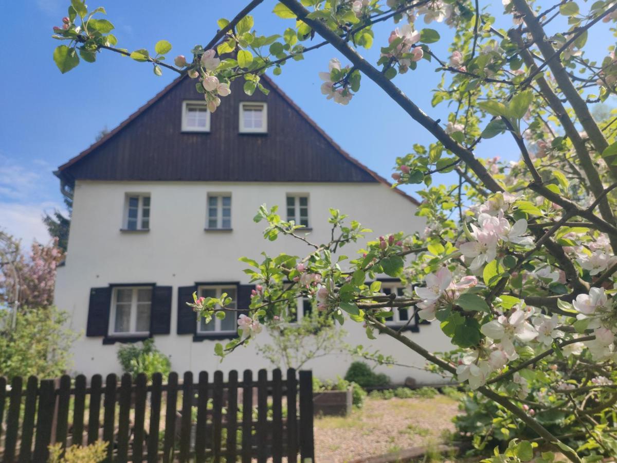 Lusatia Farm Leśna Exterior foto